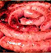 Linguiça Toscana